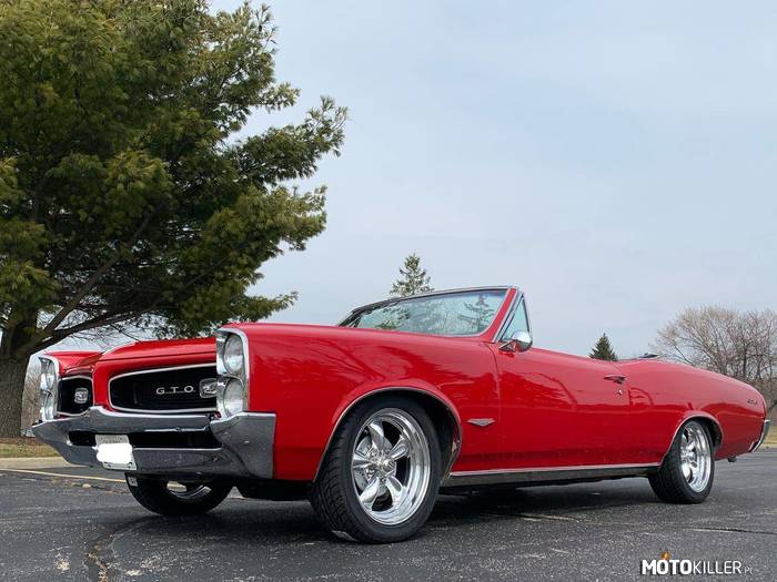 Pontiac Tempest GTO –  