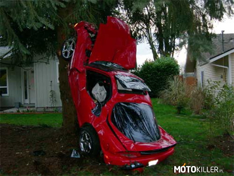Mazda na drzewie..