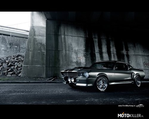Shelby Mustang GT-500 czyli...
