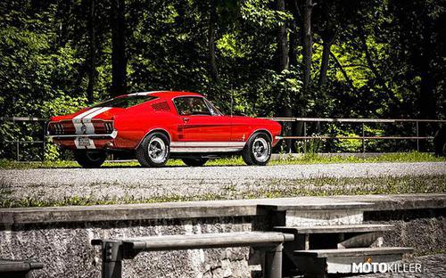 Ford Mustang Fastback S-Code