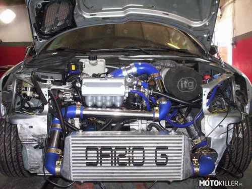 Peugeot 206 Turbo by DarioG