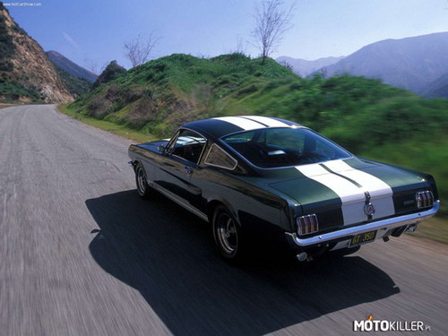 Ford Mustang Shelby, GT350 1965