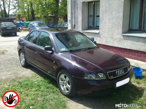 Audi vol.5