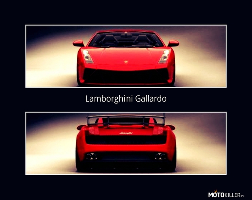 My Vision of Lamborghini Gallardo
