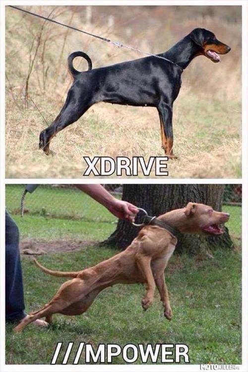 XDrive vs Mpower