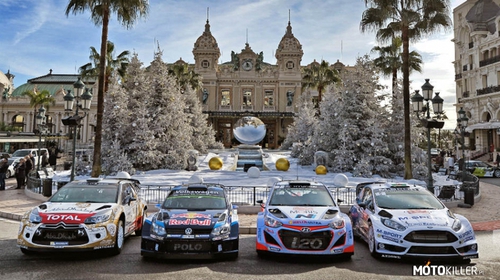 Czterech obecnych przedstawicieli gatunku WRC
