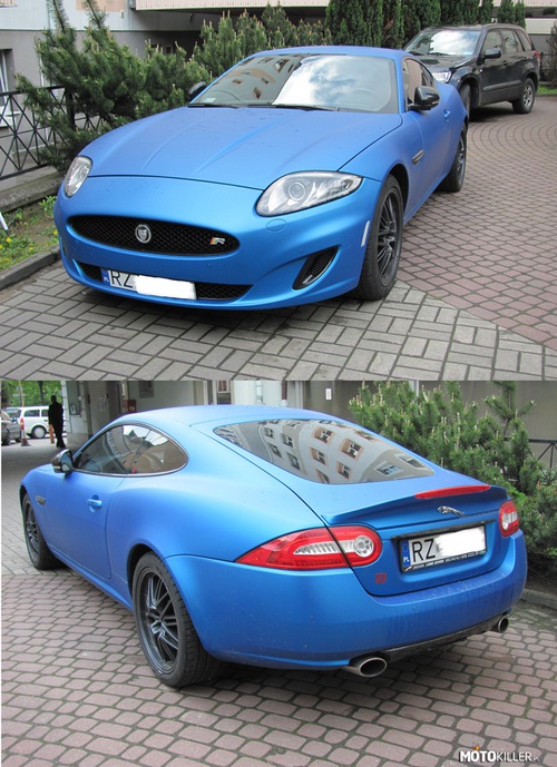 Jaguar z Rzeszowa