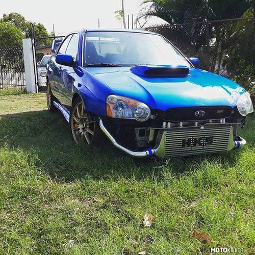 Panama Subaru Club