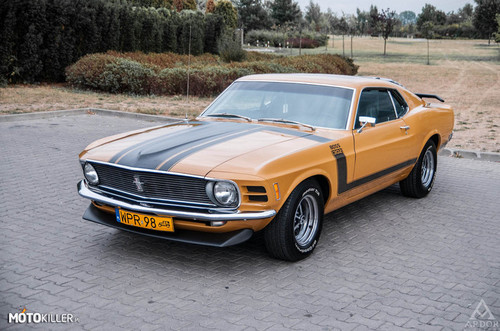 Ford Mustang Sportsroof 302 1970 r.