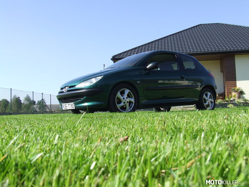 Peugeot 206 żaba w trawie