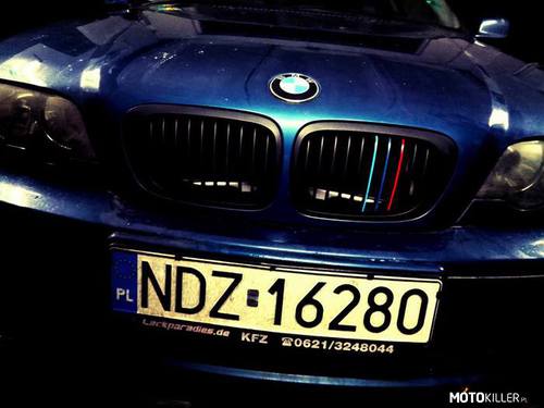 BMW E46 Coupe #2