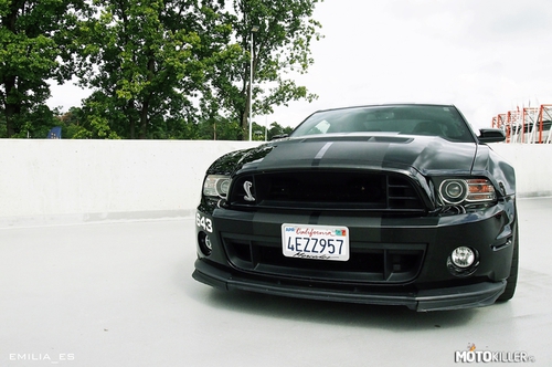 Ford Mustang 2013 r.