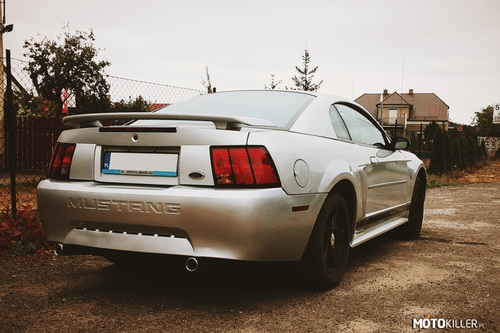 Mustang IV 3.8