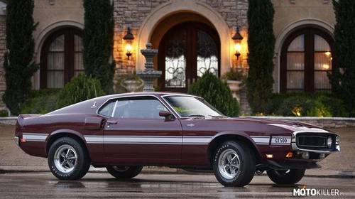 Shelby GT500 Fastback