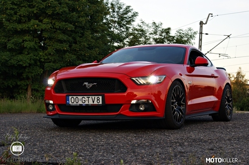Ford Mustang RedRace