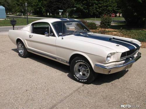 Ford Mustang Shelby 350