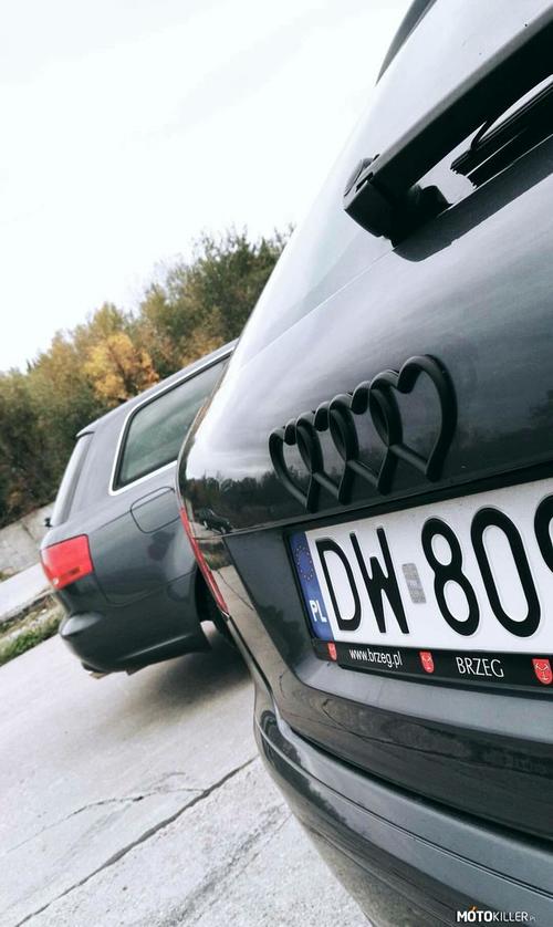 Audi love