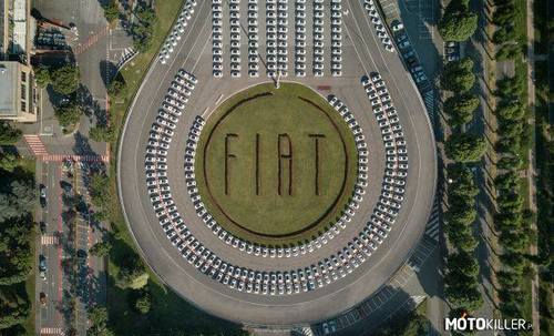W tym roku Fiat 500 ustanowił kolejny rekord Guinnessa