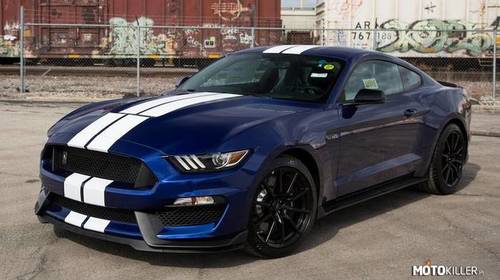 Shelby GT350 50th Anniversary