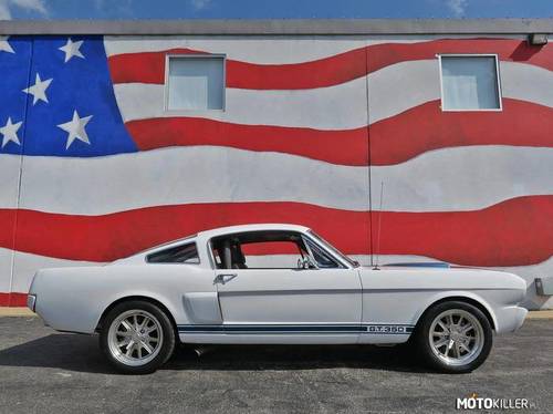 Ford Mustang SHELBY GT350