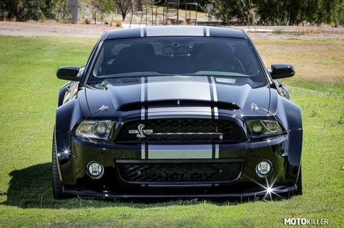 Ford SHELBY GT500 SUPER SNAKE