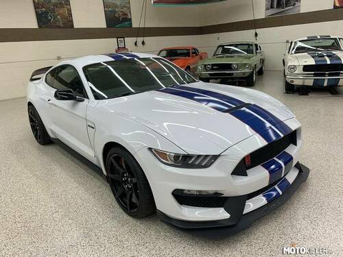 Ford Shelby Mustang GT-350R