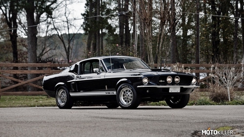 1967 Ford Mustang Shelby GT350