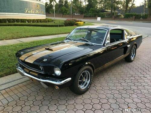 Shelby GT350H